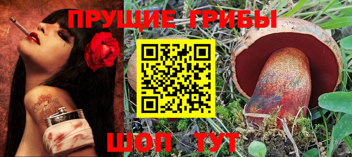 Псилоцибиновые грибы Psilocybe  Вход с VPN  Малгобек 